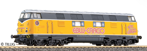 Diesel lcomotive V 200.21 of EBW Cargo<br /><a href='images/pictures/Tillig/02685.jpg' target='_blank'>Full size image</a>